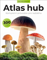 Atlas hub
