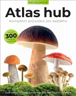 Atlas hub - 