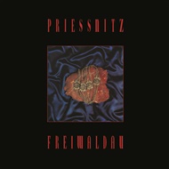 Freiwaldau -  Priessnitz