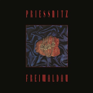 Freiwaldau -  Priessnitz