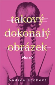 Takový dokonalý obrázek - Andrea Leebová