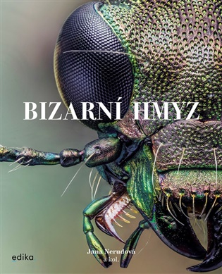 Bizarní hmyz - Miroslav Ambroz, Jiří Procházka,  kolektiv