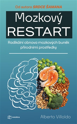 Mozkový restart - Albert Villoldo