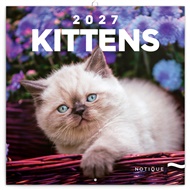 Poznámkový kalendář Koťata 2027