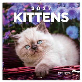 Poznámkový kalendář Koťata 2027 - 