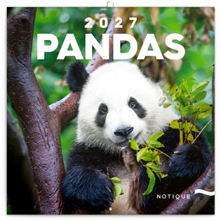 Poznámkový kalendář Pandy 2027 - 