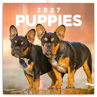 Poznámkový kalendář Štěňata 2027 - 