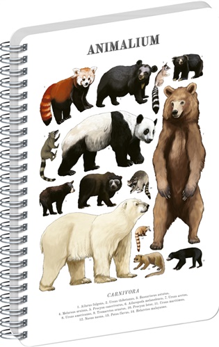 Spirálový blok Animalium – Medvědovité šelmy, čistý, A5 - 