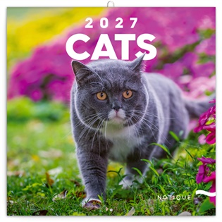 Poznámkový kalendář Kočky 2027 - 
