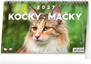 Stolní kalendář Kočky – Mačky CZ/SK 2027 - 