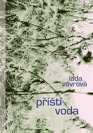 Příští voda - Lada Vávrová