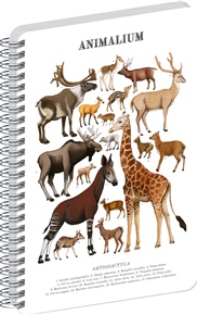 Spirálový blok Animalium – Sudokopytníci, čistý, A4
