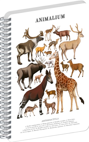 Spirálový blok Animalium – Sudokopytníci, čistý, A5 - 