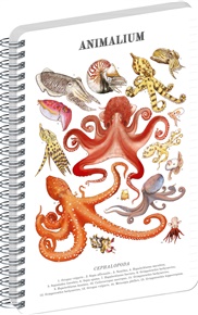 Spirálový blok Animalium – Hlavonožci, linkovaný, A5