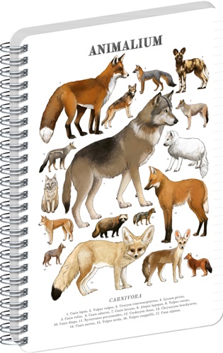 Spirálový blok Animalium – Psovité šelmy, linkovaný, A5 - 