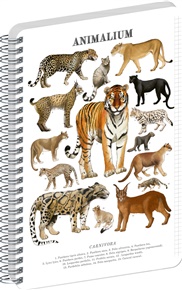 Spirálový blok Animalium – Kočkovité šelmy, čtverečkovaný, A5