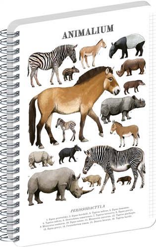 Spirálový blok Animalium – Lichokopytníci, čtverečkovaný, A5 - 