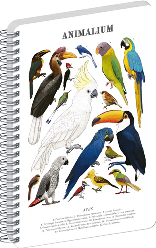 Spirálový blok Animalium – Ptáci, čistý, A5 - 