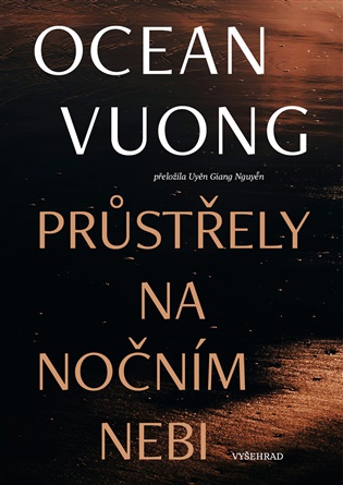 Průstřely na nočním nebi - Ocean Vuong