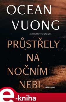 Průstřely na nočním nebi - Ocean Vuong