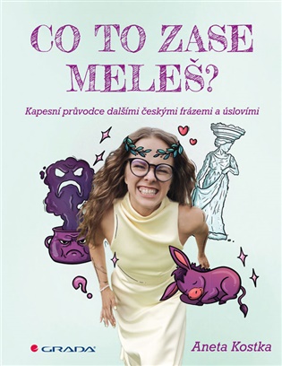 Co to zase meleš?: Kapesní průvodce dalšími českými frázemi a úslovími - Aneta Kostka,  