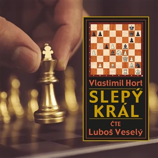 Slepý král - Vlastimil Hort
