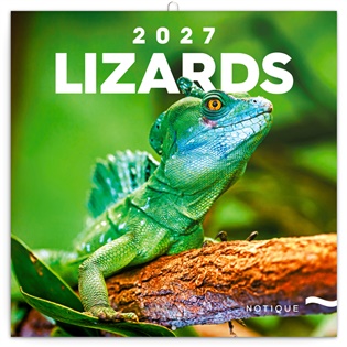 Poznámkový kalendář Ještěři 2027 - 