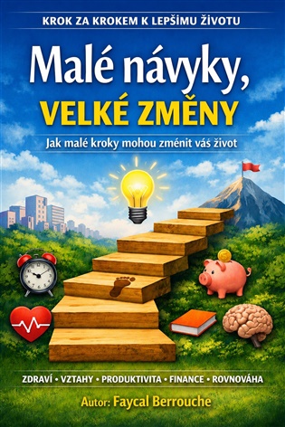 Malé návyky, velké změny - Faycal Berrouche