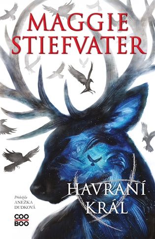 Havraní král - 