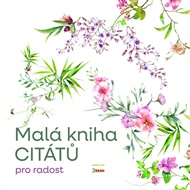 Malá knížka citátů pro radost - Pavla Staňková