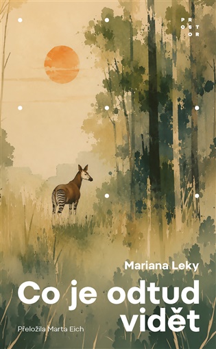 Co je odtud vidět - Mariana Leky