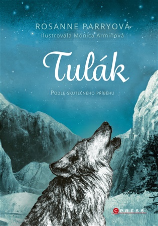 Tulák - Rosanne Parryová