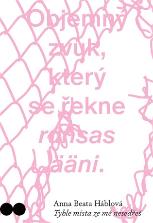 Tyhle místa ze mě nesedřeš - Anna Beata Háblová