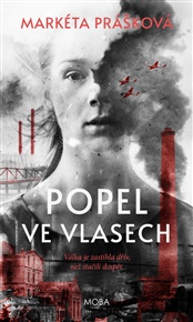Popel ve vlasech - Markéta Prášková