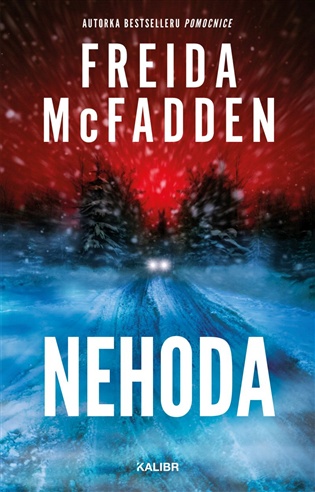 Nehoda - Freida McFadden
