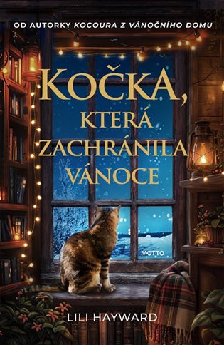 Kočka, která zachránila Vánoce - Lili Hayward