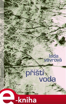 Příští voda - Lada Vávrová