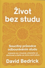 Život bez studu - Soucitný průvodce odbourávání studu - David Bedrick