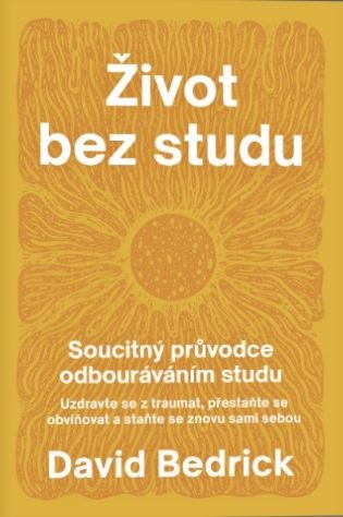 Život bez studu - Soucitný průvodce odbourávání studu - David Bedrick