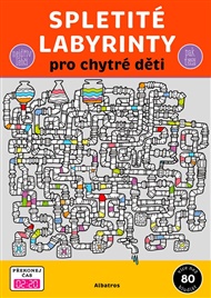 Spletité labyrinty pro chytré děti -  kolektiv
