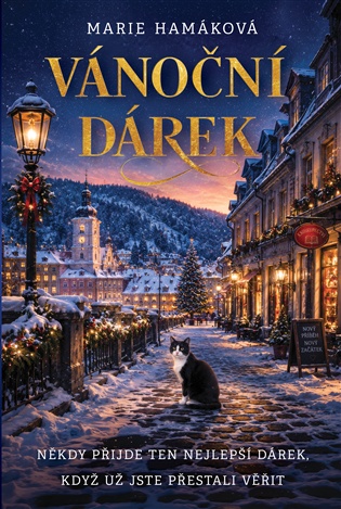 Vánoční dárek - Marie Hamáková