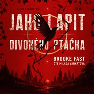 Jako lapit divokého ptáčka - Brooke Fast