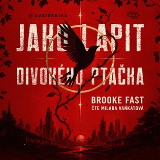 Jako lapit divokého ptáčka - Brooke Fast