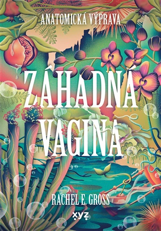Záhadná vagina: Anatomická výprava - Rachel E. Gross