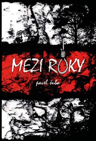 Mezi roky - Pavel Šuba