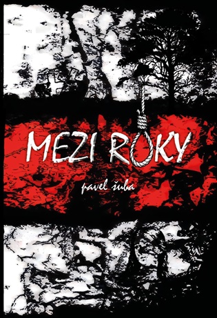 Mezi roky - Pavel Šuba