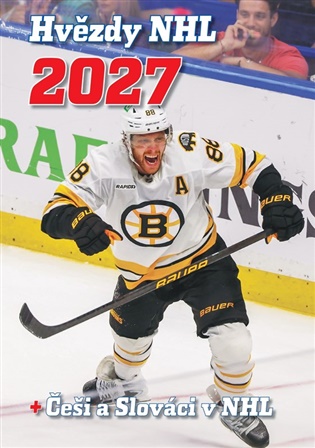 Hvězdy NHL 2027: + Češi a Slováci v NHL - 