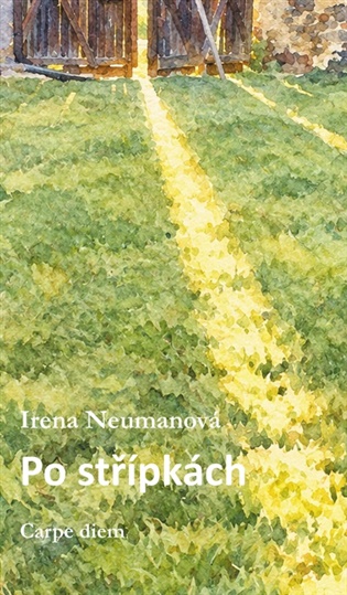 Po střípkách - Irena Neumanová