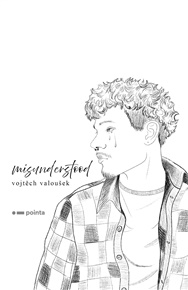 Misunderstood - Vojtěch Valoušek