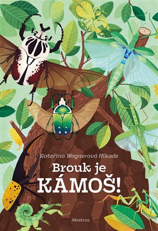 Brouk je kámoš: příručka pro chovatele - Kateřina Wagnerová Hikade